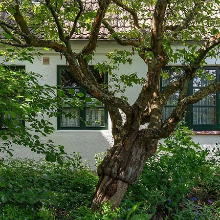 Haus Vogelkiek
