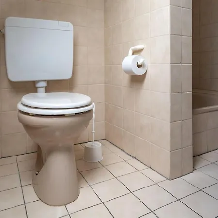 Haus Vogelkiek Apartamento *